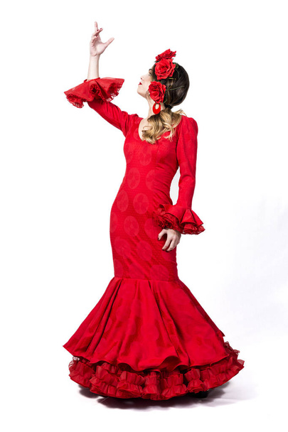 Portrait of young Flamenco dancer in beautiful dress  - Valokuva, kuva