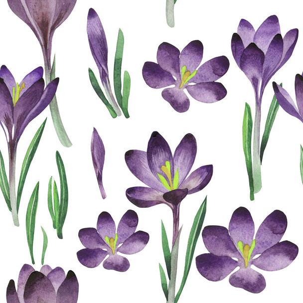 Wildflower crocuses flower pattern in a watercolor style isolated. - Foto, Bild