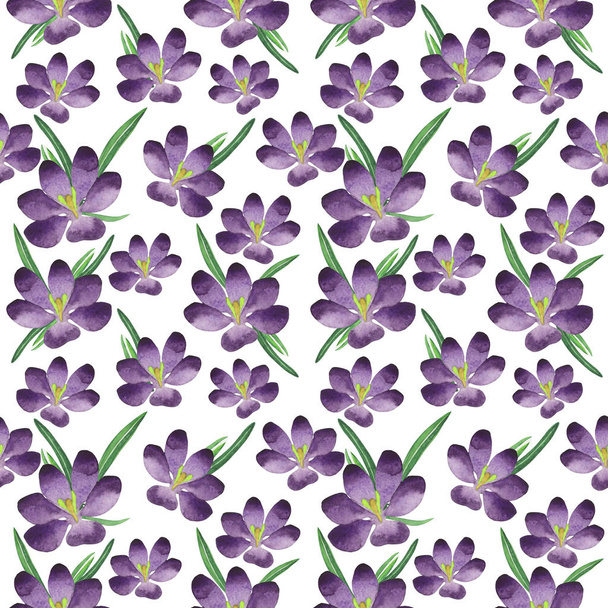 Patrón de flores de azafrán en un estilo de acuarela aislado
. - Foto, Imagen