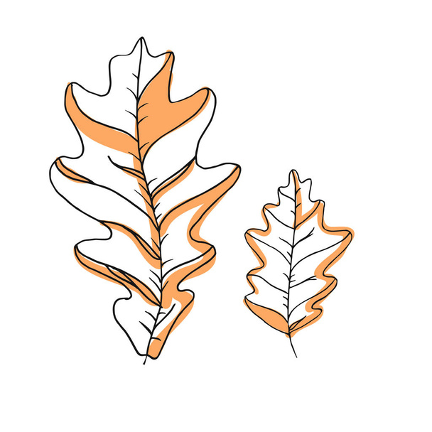 Leaf vector drawing set. Isolated tree leaves. Herbal engraved style illustration. Organic product sketch. Hand drawn leaf - Вектор, зображення