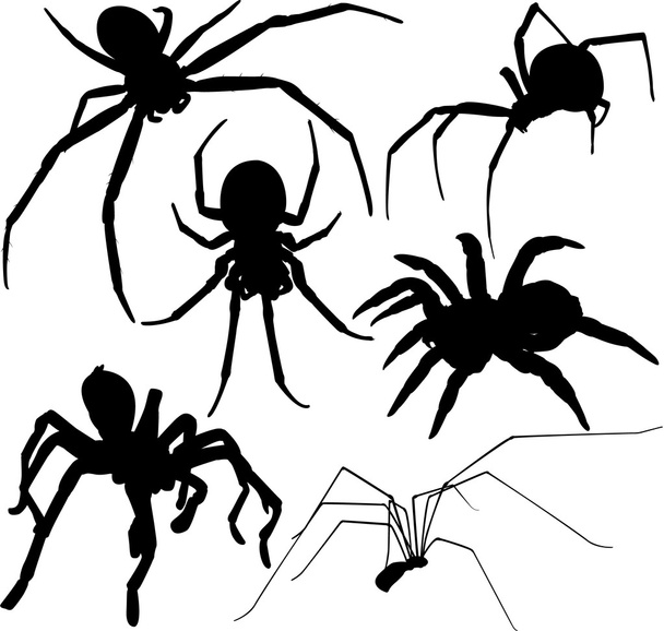 Spider vector silhouettes. Layered. Fully editable. - Vector, Image