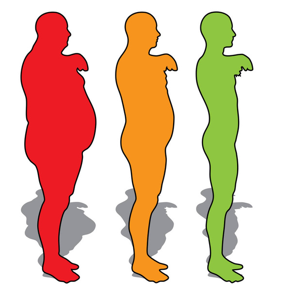 ilustración del cuerpo humano con sobrepeso
 - Foto, Imagen