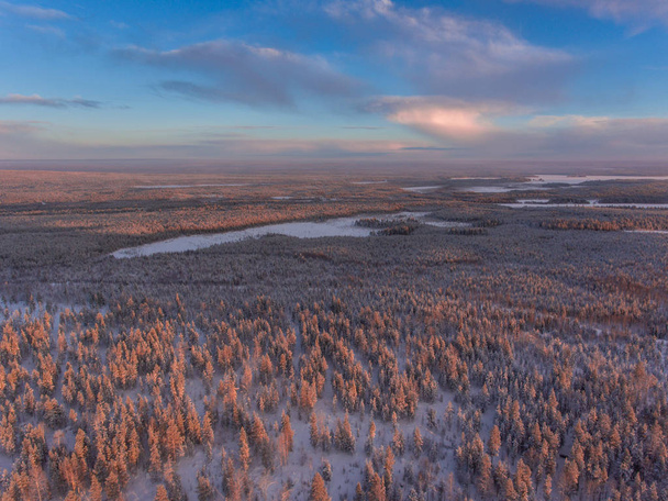 Vista aérea del paisaje de nieve de invierno y el bosque
 - Foto, Imagen