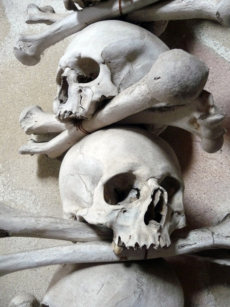 Crânes et os croisés
 - Photo, image