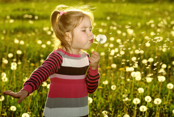 Girl blowing dandelion  - Фото, изображение