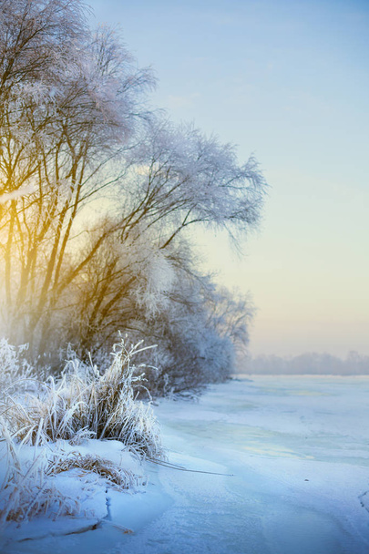 beautiful winter background; winter landscape On A Hoar Frost - Photo, Image