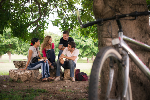 Fiatal diákok csinálás-a lecke itt: college park - Fotó, kép