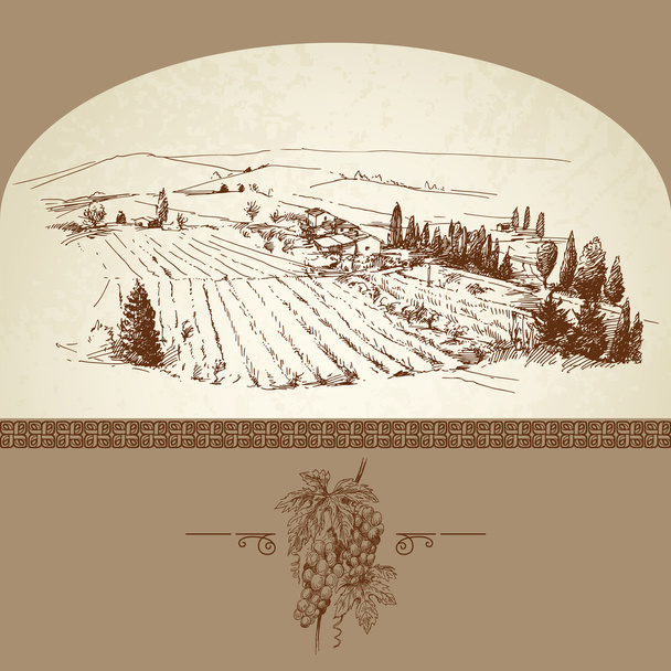 Wine label, hand drawn vineyard - Vector, Image