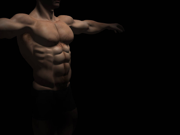 illustration of strong human body - Fotografie, Obrázek