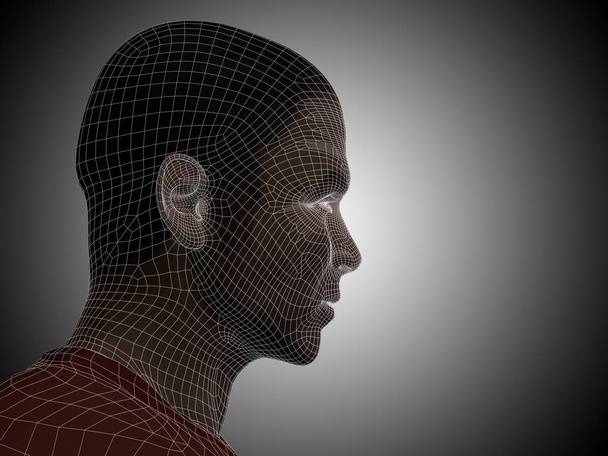 drátěný model lidská hlava - Fotografie, Obrázek