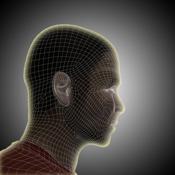 Drótváz emberi fej - Fotó, kép