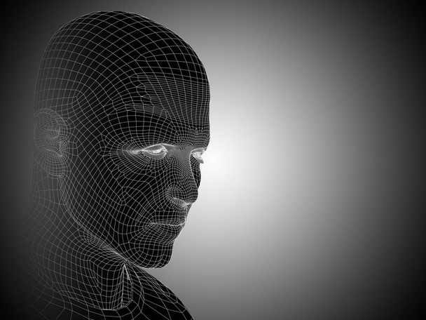 Cabeça humana wireframe
 - Foto, Imagem
