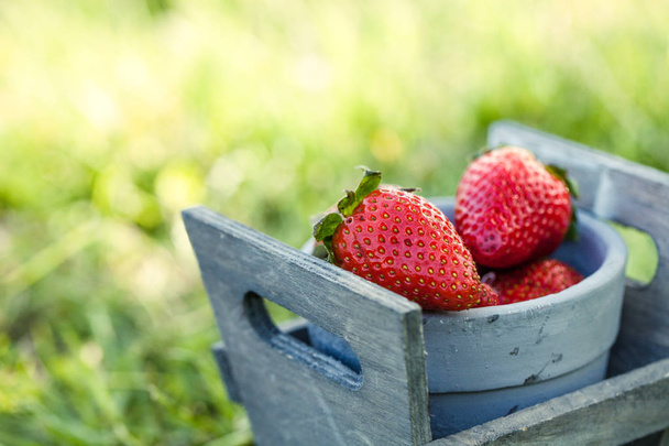 Strawberries in grass - Photo, image