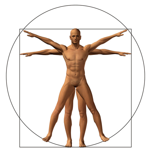 εικόνα της ανατομίας του ανθρώπινου σώματος - Φωτογραφία, εικόνα