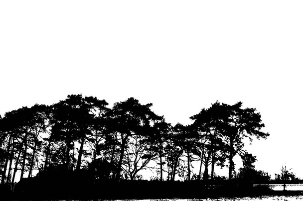 Realistické stromová silueta  - Vektor, obrázek