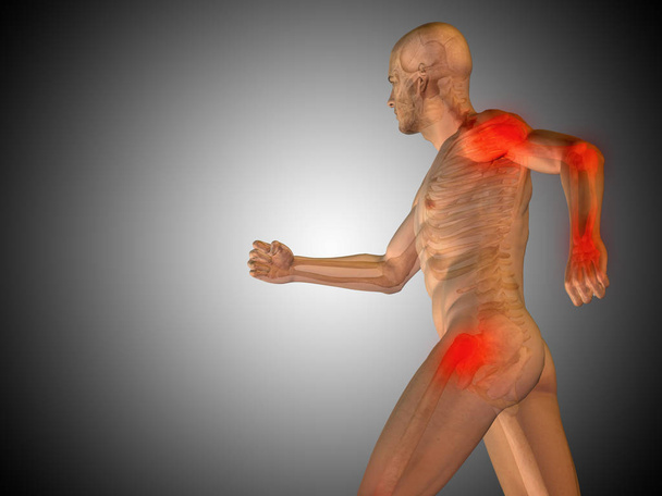 illustration of human body anatomy - Photo, Image