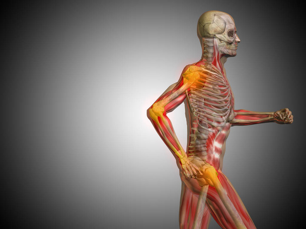 Ілюстрація анатомії людського тіла
 - Фото, зображення