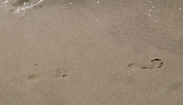 Lépések a homokban - Fotó, kép