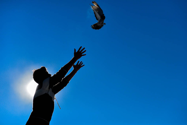 Güvercin ve yayın kuş - Fotoğraf, Görsel