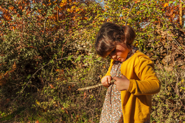 Close up girl with a stick. Autumn background - 写真・画像