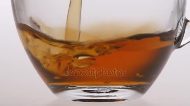 Closeup. Tea is poured into a transparent cup - Video