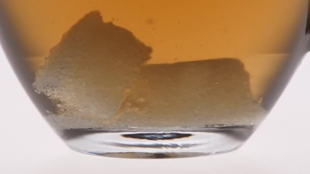 Two pieces of sugar dissolves in the bottom of cup - Video