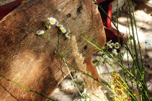 сільський букет з диких квітів
 - Фото, зображення