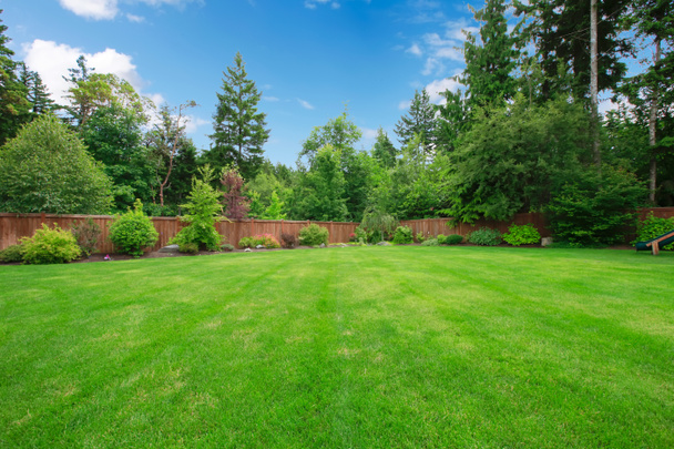 Green large fenced backyard with trees. - Foto, imagen
