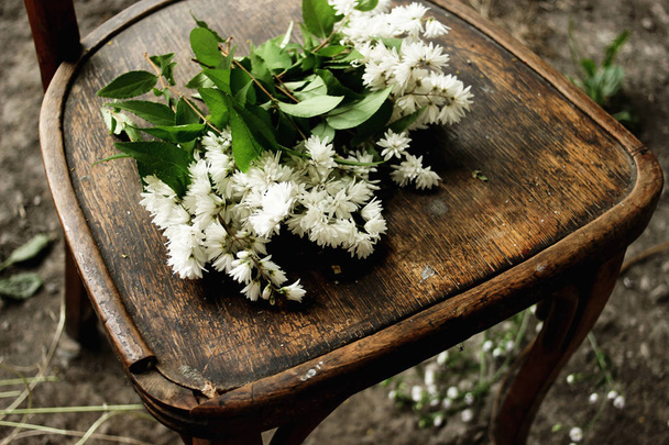  flowers on rustic wooden chair - Photo, Image