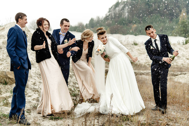 bride and groom with  groomsmen and bridesmaids - Foto, Imagen