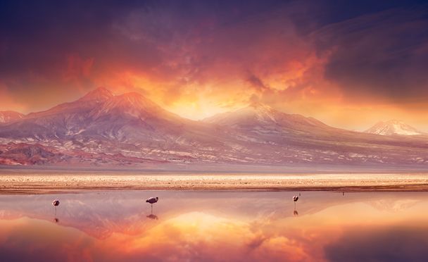 Vulkaaniset vibat
 - Valokuva, kuva