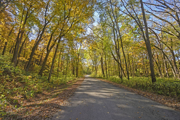 Strada rurale in autunno
 - Foto, immagini