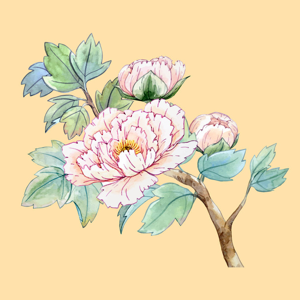 Flor de peônia chinesa aquarela
 - Vetor, Imagem