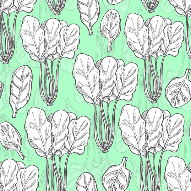 Seamless pattern with spinach - Vector, imagen
