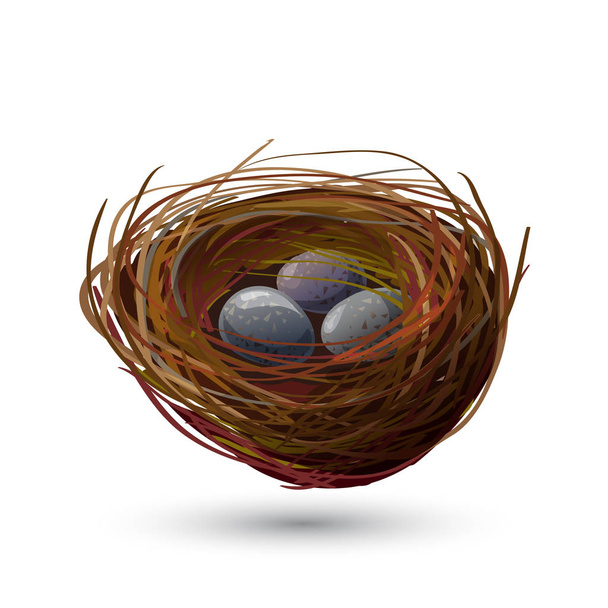 Bird Nest With Eggs - Vector, Image