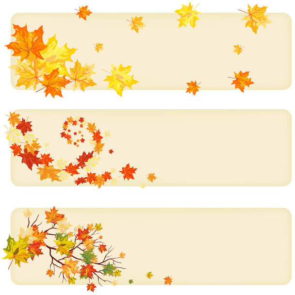 Autumn maple - Vector, Image