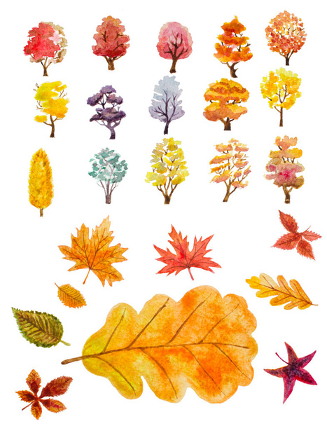 watercolor set of autumn trees and leaves. hand painted illustra - Фото, зображення