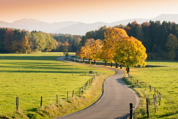 kręta droga kraju poprzez krajobraz jesienny - Zdjęcie, obraz