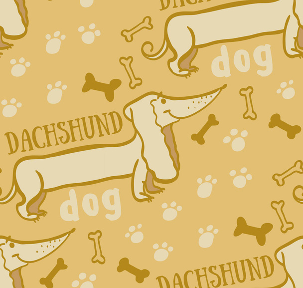 seamless background dachshund dog - Vector, Image