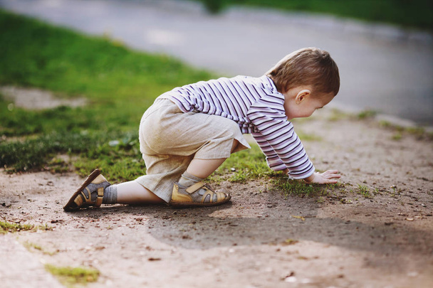 boy crawls on the ground in summer park - Foto, afbeelding
