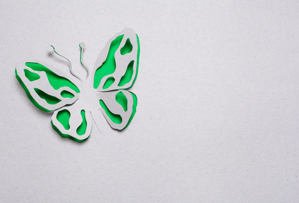 Butterfly origami - 写真・画像