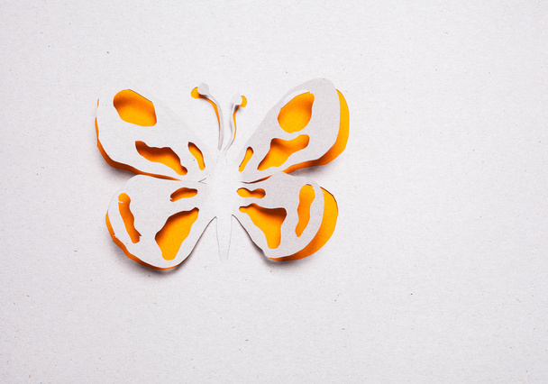 Butterfly origami - Фото, зображення