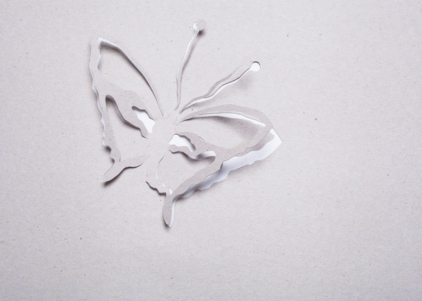 Butterfly origami - Zdjęcie, obraz