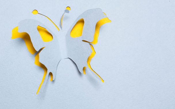 Butterfly origami - Fotoğraf, Görsel