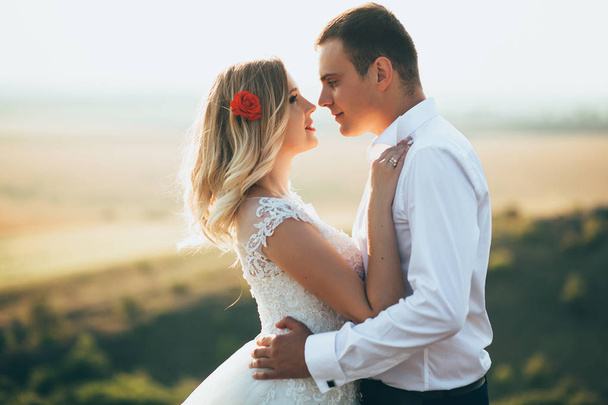 groom kissing bride - Foto, immagini