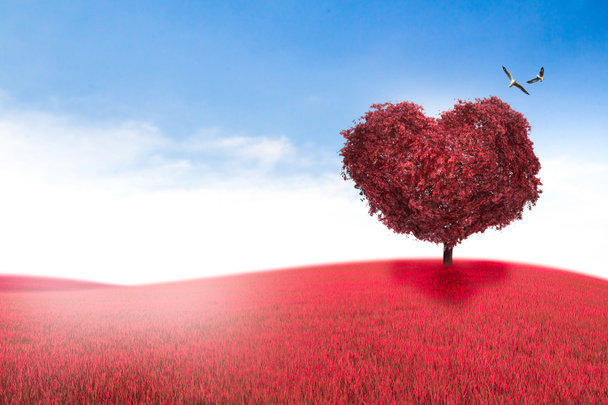 Baum in Herzform, Valentinstag Hintergrund - Foto, Bild