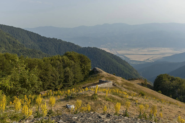 Ορεινό τοπίο στο κέντρο των Βαλκανίων βουνό με φλόμος ή λουλούδι Δίανθος, - Φωτογραφία, εικόνα