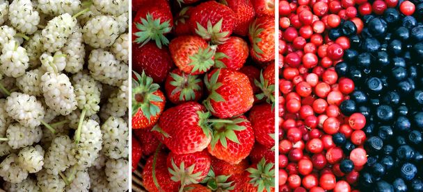 Mix různých bobulí: moruše, borůvky, jahody, brusinky. Jídlo na pozadí. Pohled shora - Fotografie, Obrázek