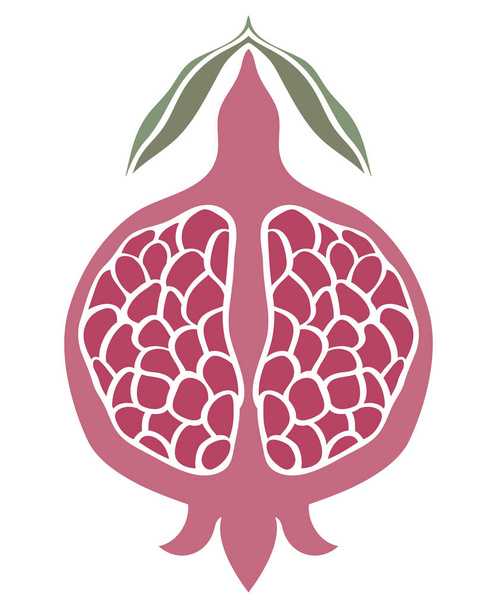 Simple pink pomegranate. - Vector, Image