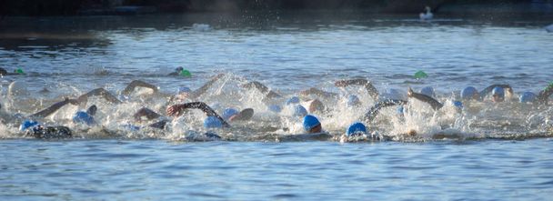  Triathlon swimmers in the river Ouse - Photo, Image